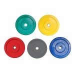 5kg Bumper Plate GREY